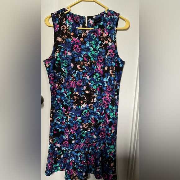 The Limited Dress - Picture 1 of 1